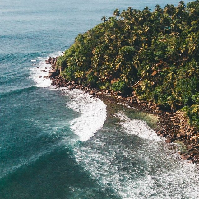 Perfekte Wellen zum surfen auf Sri Lanka Perfekte Wellen zum surfen auf Sri Lanka